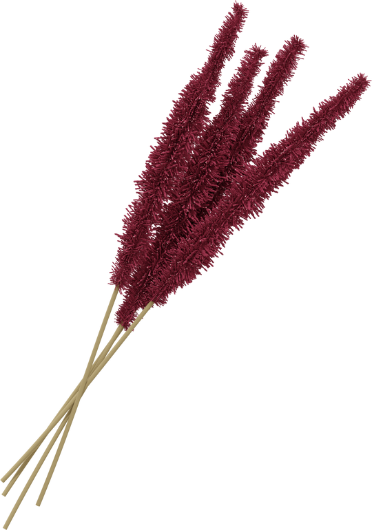 dried amaranth flower