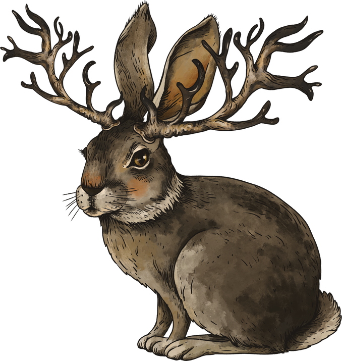 Magic Hare with Horns