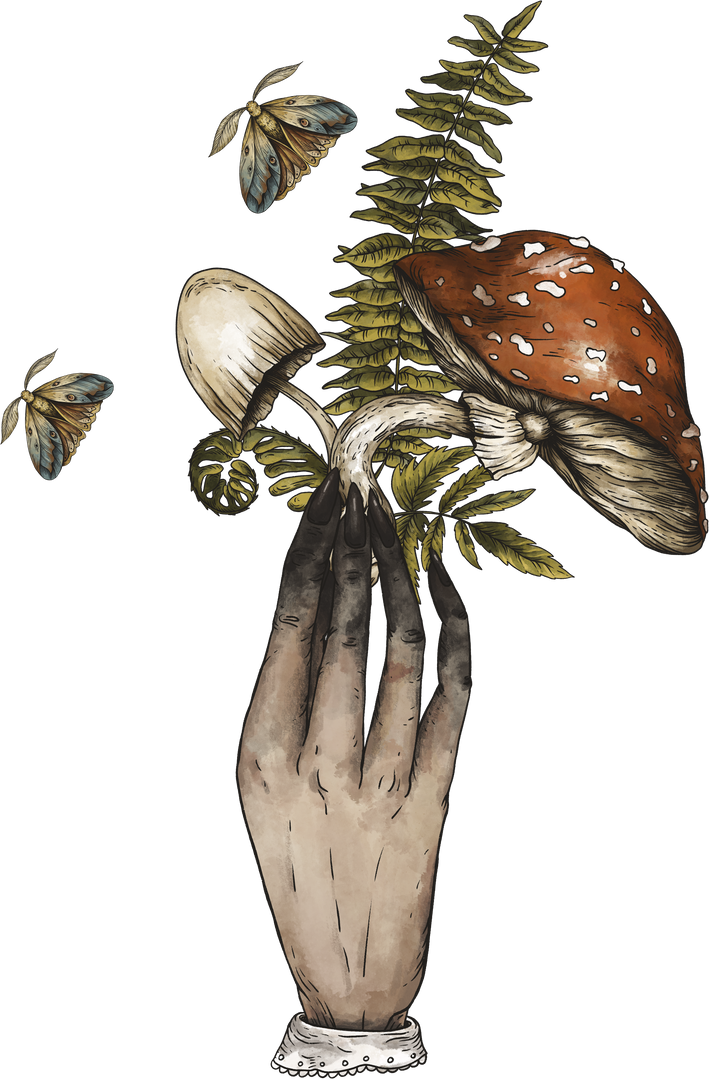 Vintage magic plants Amanita mushroom with witch hand, Witchcraft mystery, fly agaric mushrooms, flowers