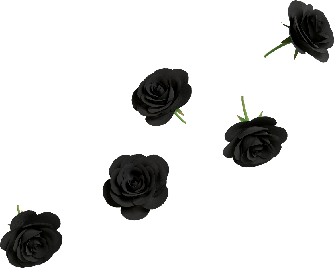 dark symbol of black rose flower